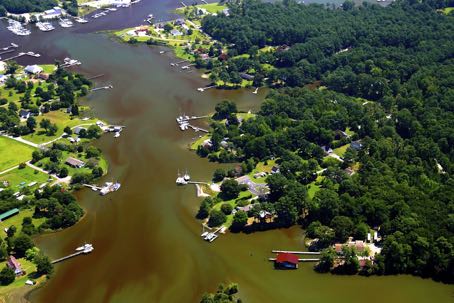 A harmful algal bloom in the waters of Chesapeake Bay. © W. Vogelbein/VIMS.