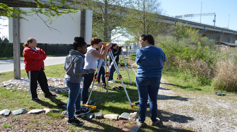 Marsh Field Work