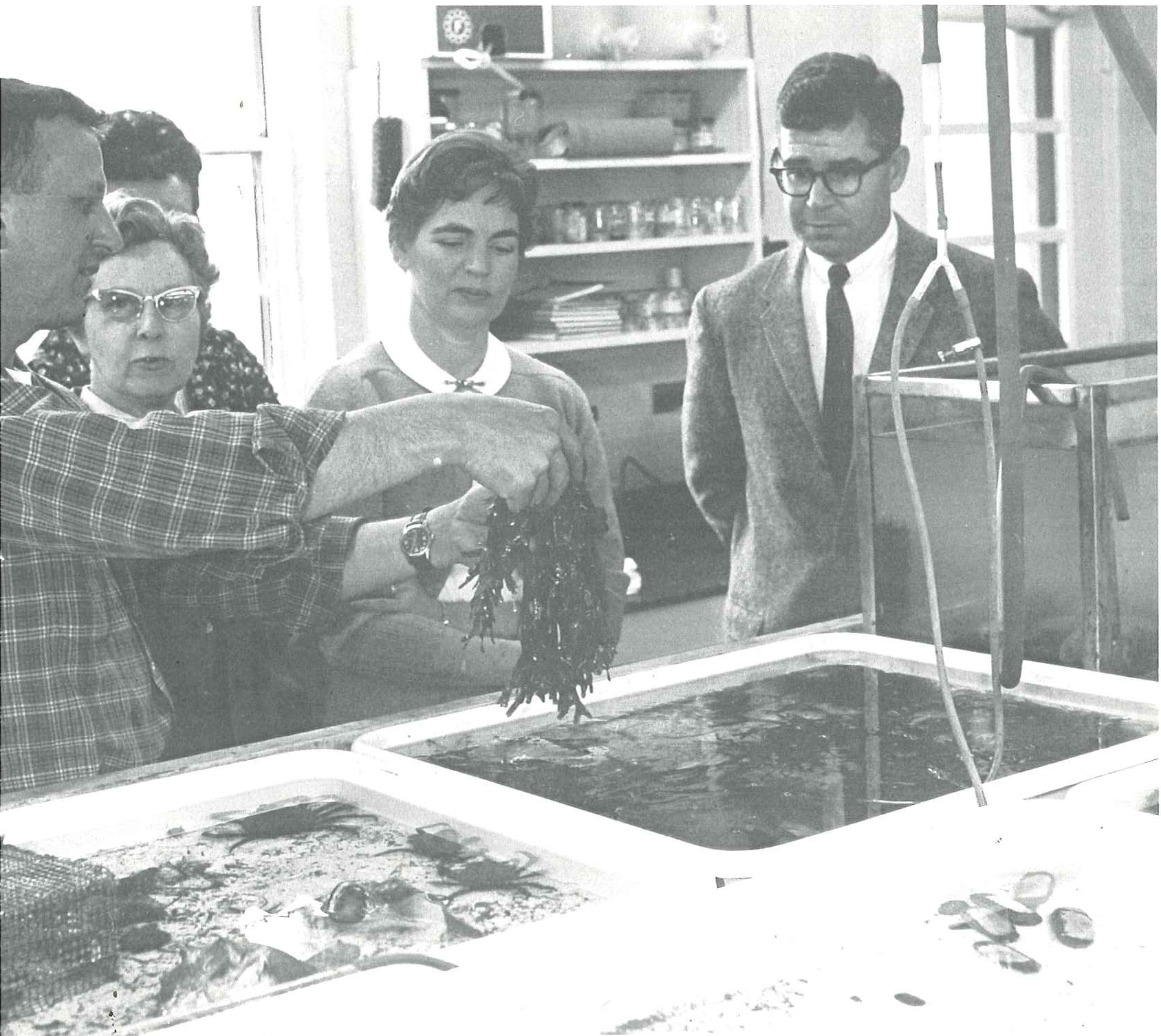 Dr. Mike Castagna with teachers group in old wet lab, 1969