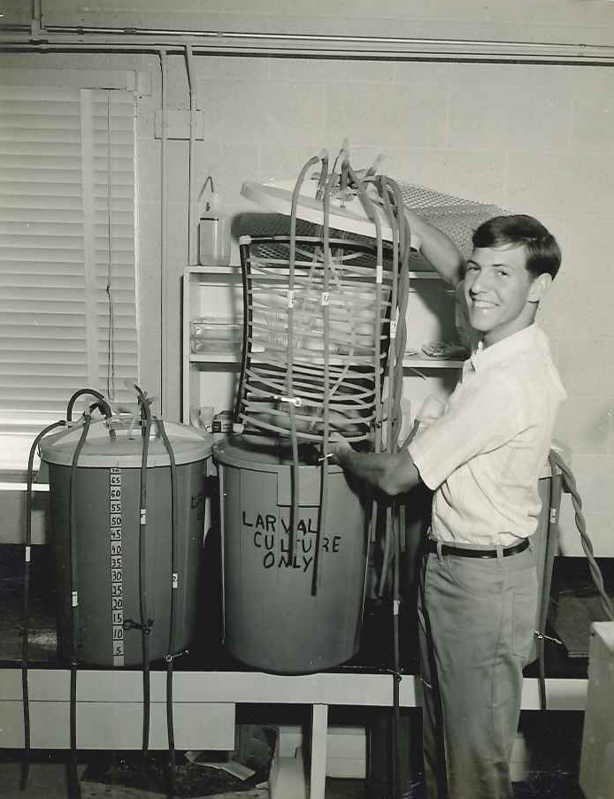 ESL shellfish hatchery work, 1960's