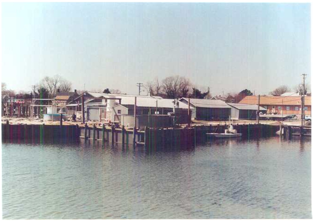 Overlooking ESL boat basin and old Davis Shucking Houses, mid-1990's