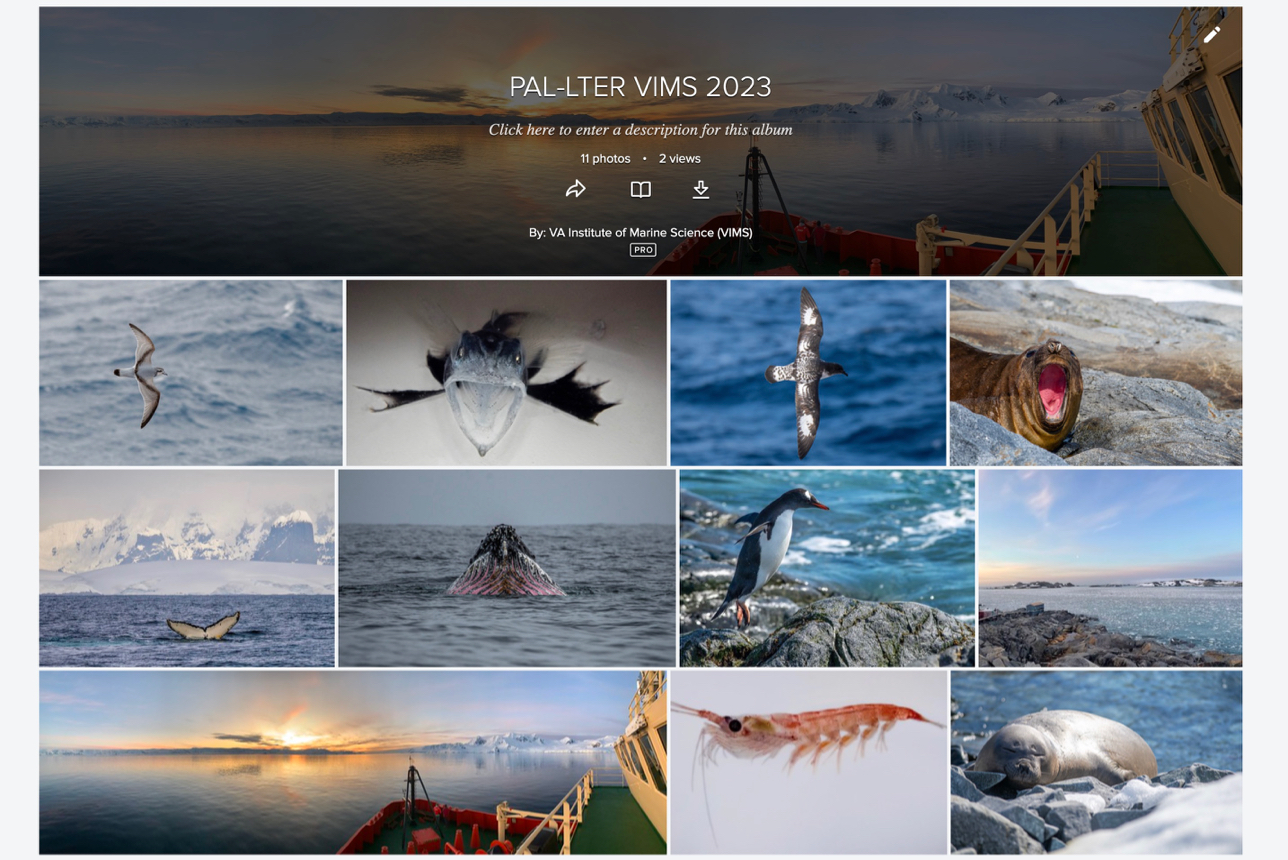 PAL-LTER VIMS 2023 Flickr Album