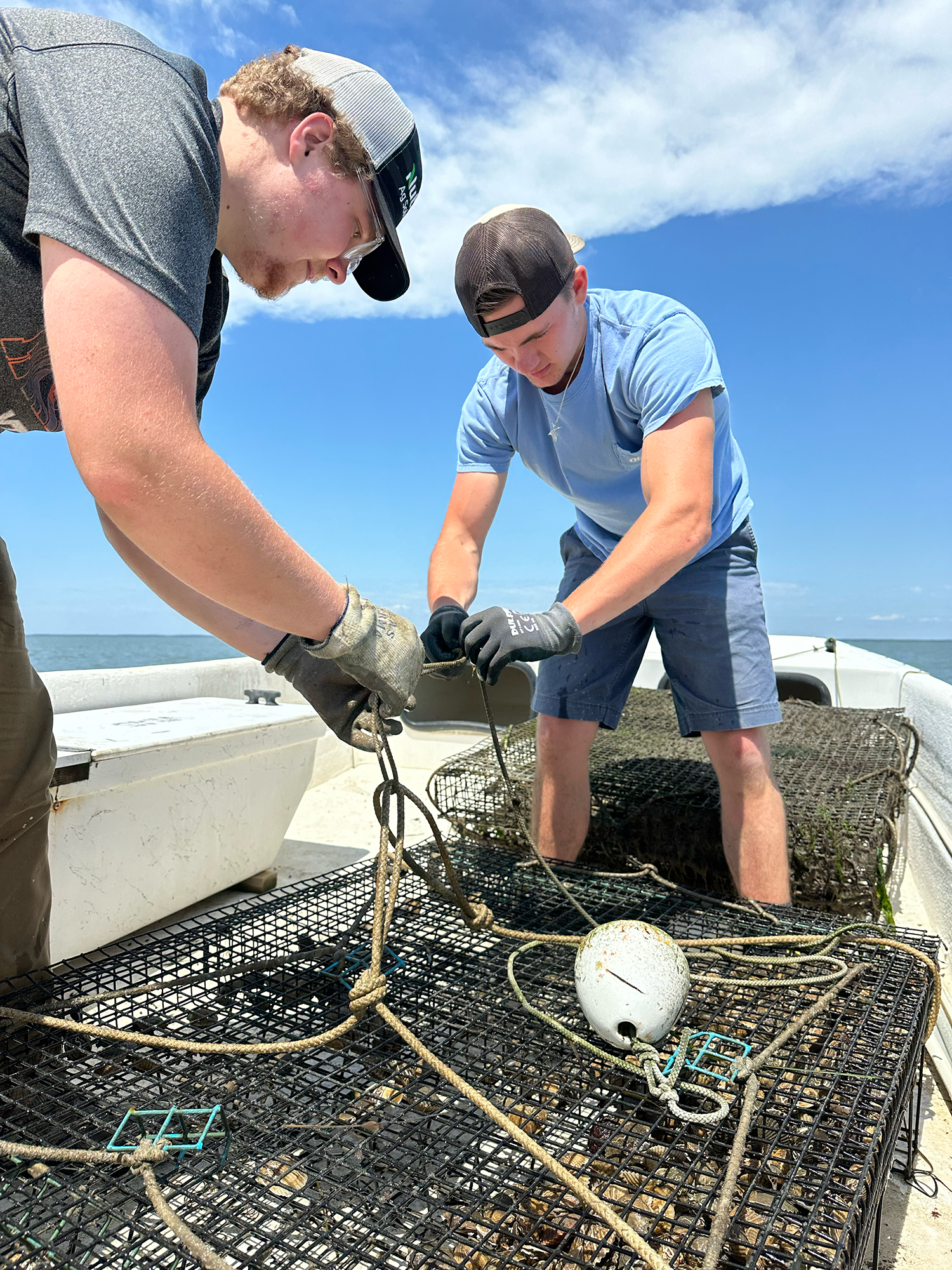 Bonnie Sue interns get hands-on marine research experience. Photo credit: Reba Turner Smith.