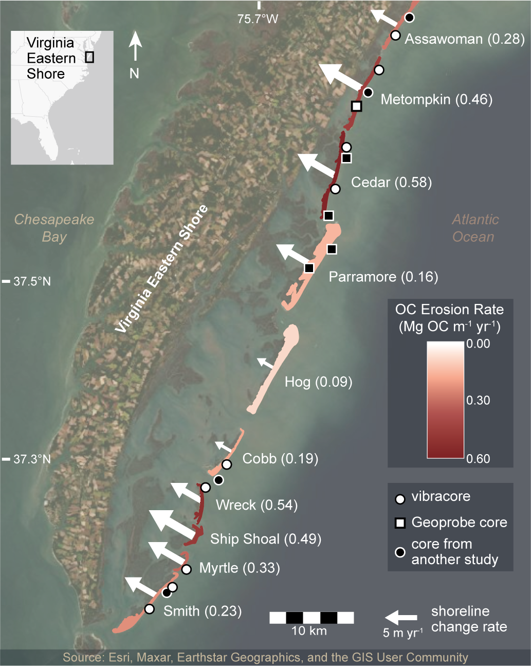 The ten migrational and/or erosional/rotational Virginia Barrier Islands (Mid-Atlantic, USA). Island color and parenthetical values indicate organic carbon (OC) erosion rates, normalized by shoreline length. Length and width of white arrows correspond to long-term (1870–2017 C.E.) island-averaged shoreline change rates.