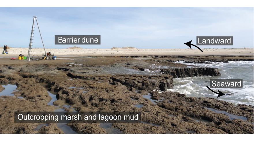 Ground view of backbarrier marsh and lagoon sediments exposed along the eroding beachface, and backed by a landward-migrating sandy beach and dune system.