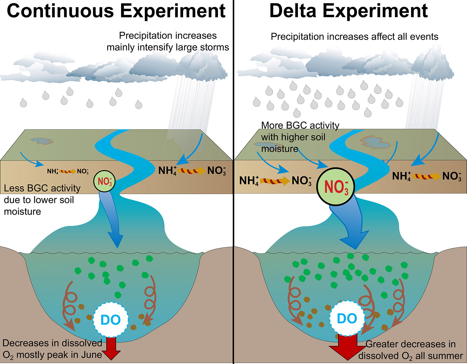 Illustration showing differences in terrestrial and estuarine biogeochemical responses to changes in distributions of future precipitation between the continuous experiments (left) and the delta experiment (right). 