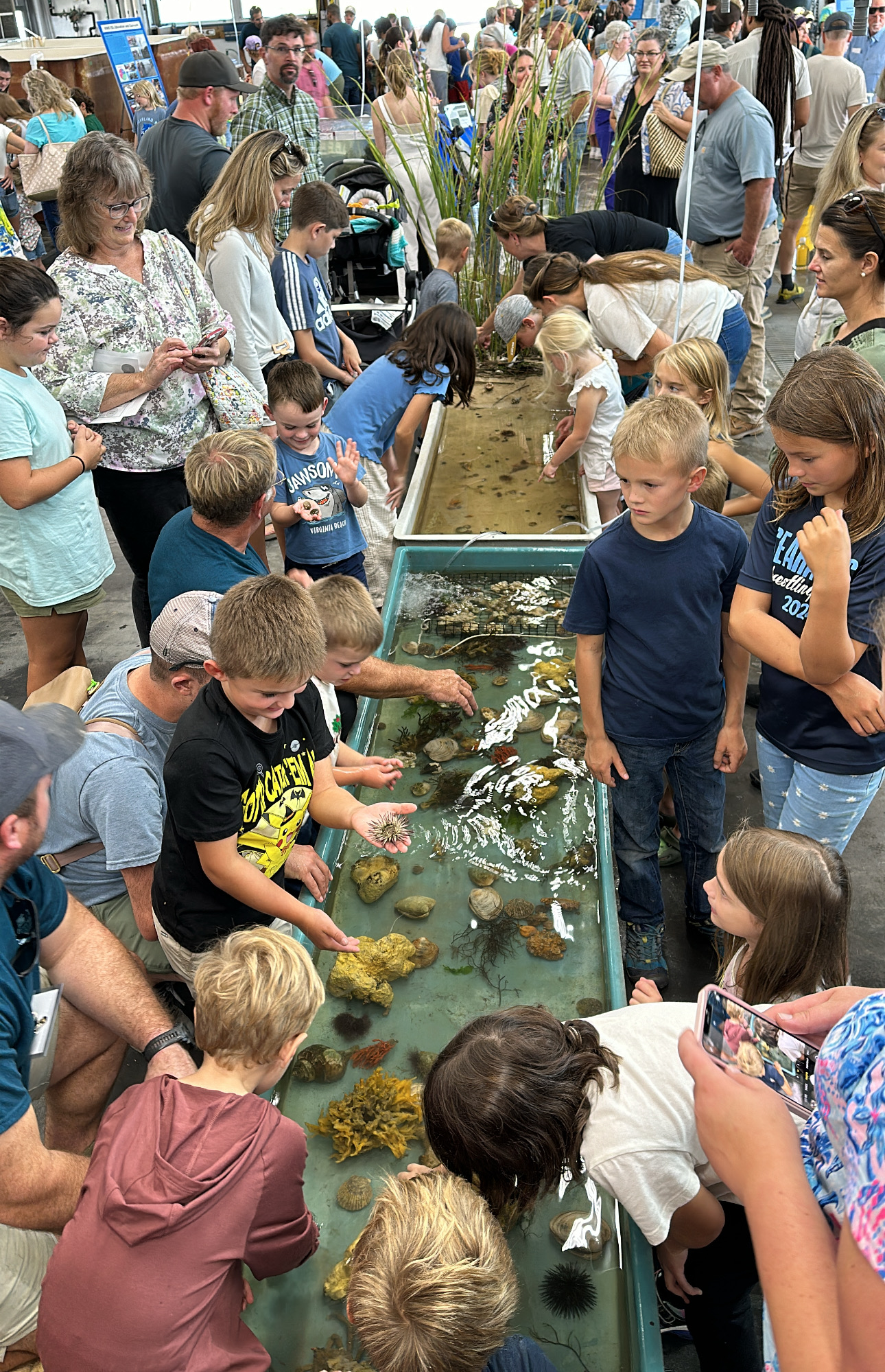 Young attendees crowded around the popular touch tanks. Photo credit: Ethan Smith