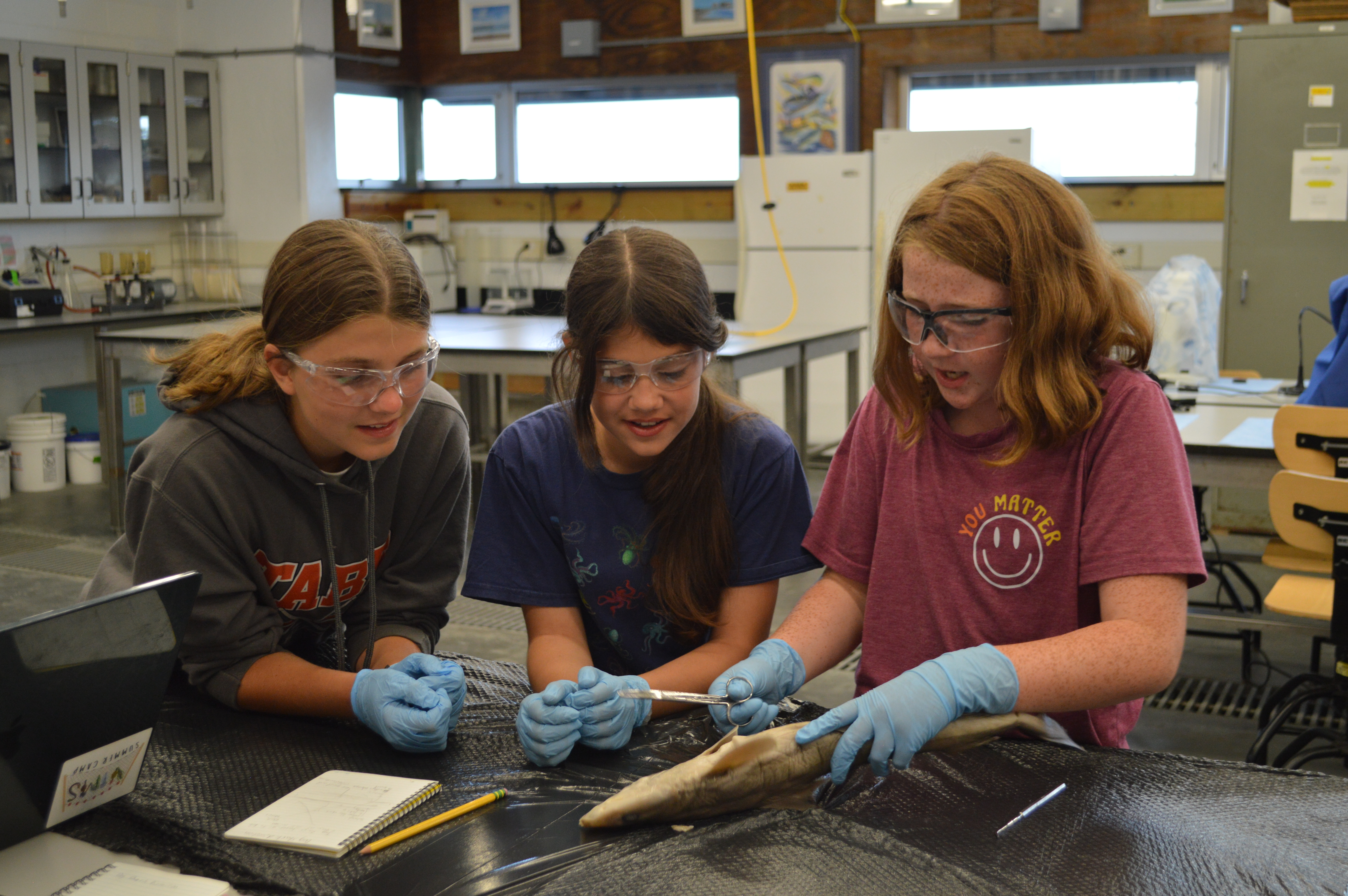 Students begin their dissection of a dogfish shark, part of the comprehensive summer camp education programming. Photo credit: Matthew Thayer.