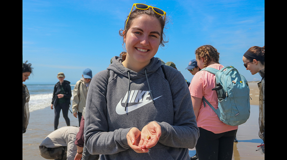 Participants dug through the sand, pausing to appreciate the different animals that they found. 