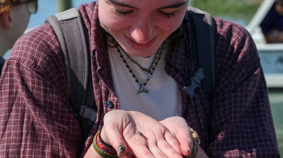 Participants dug through the sand, pausing to appreciate the different animals that they found. 