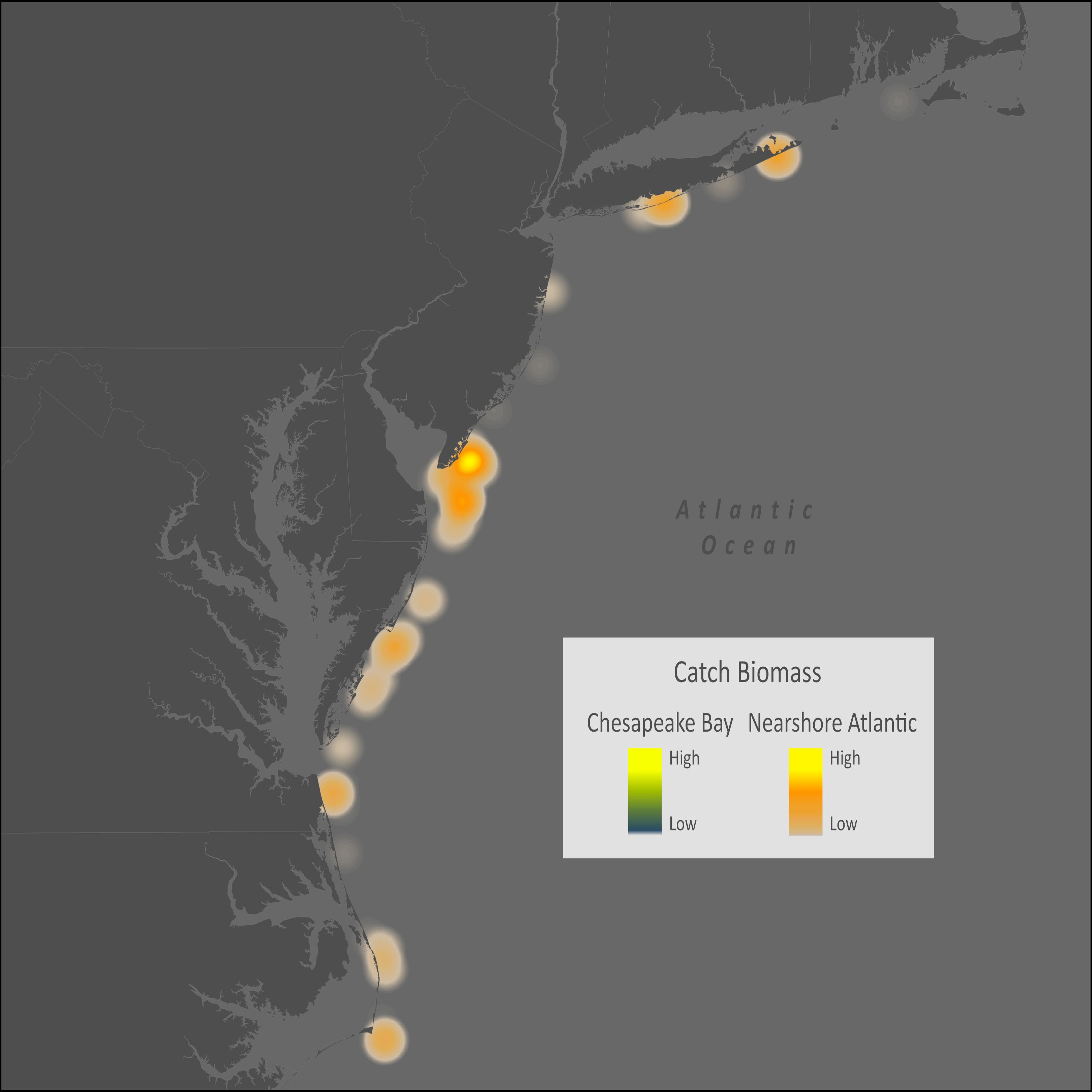 Gray Triggerfish Distribution