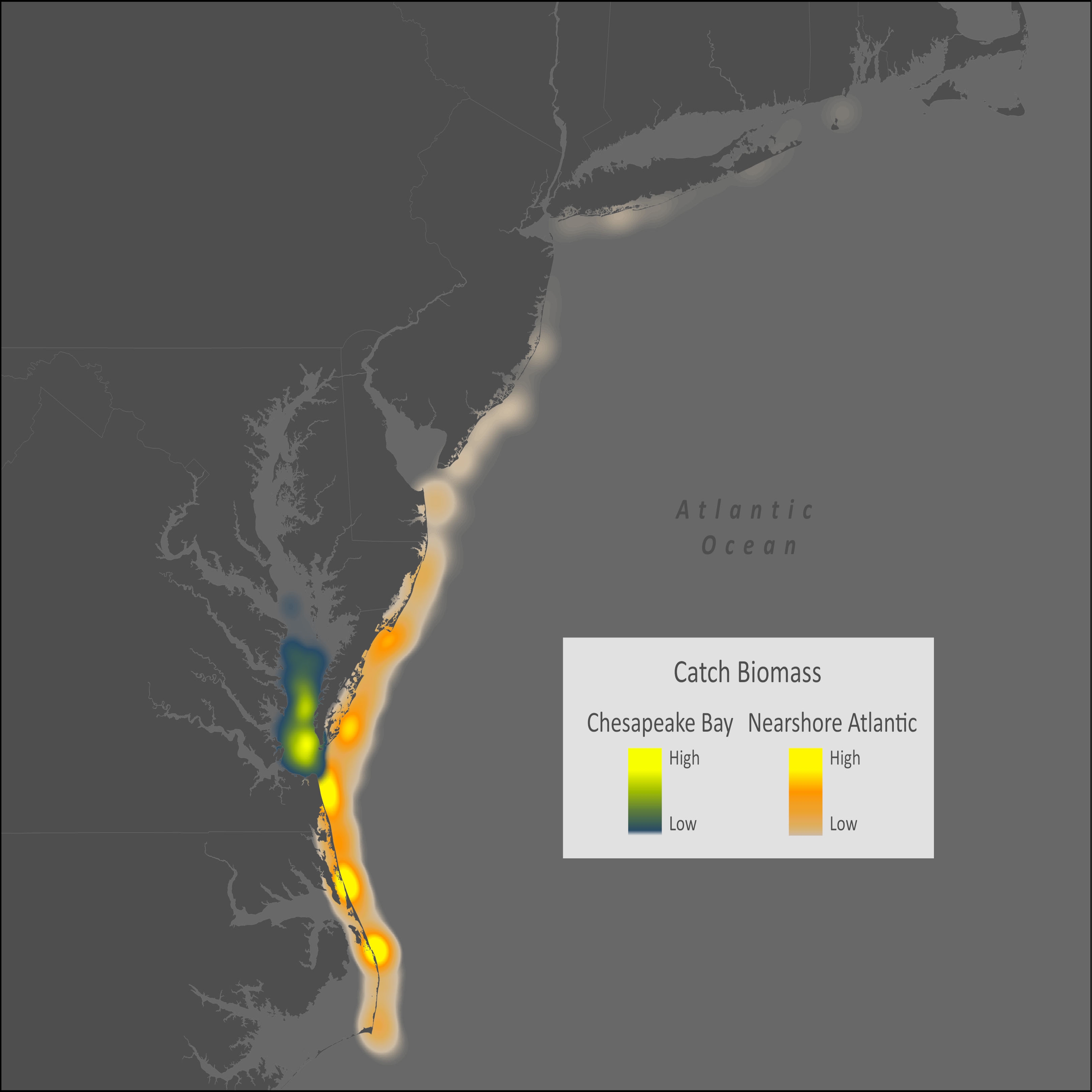 Kingfish Distribution