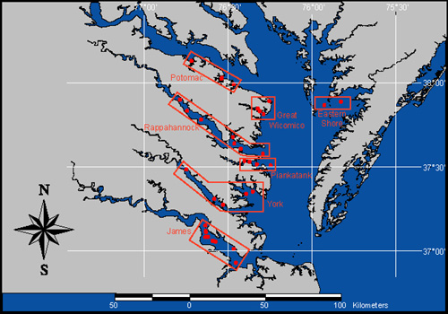 Virginia Sentinel Site Estimates | Virginia Institute of Marine Science