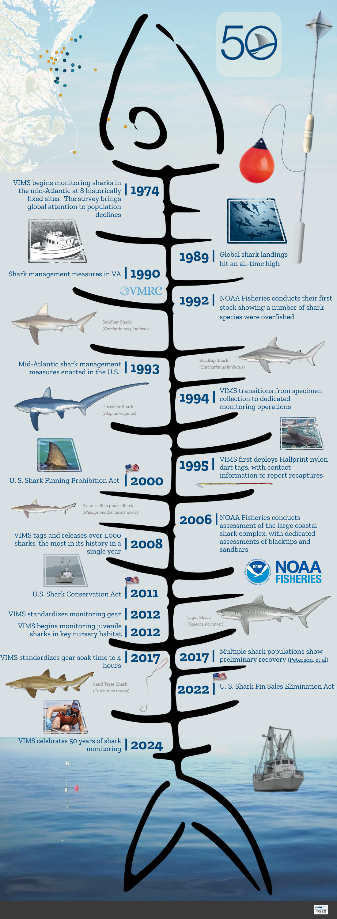 vasmap-timeline-for-web.png