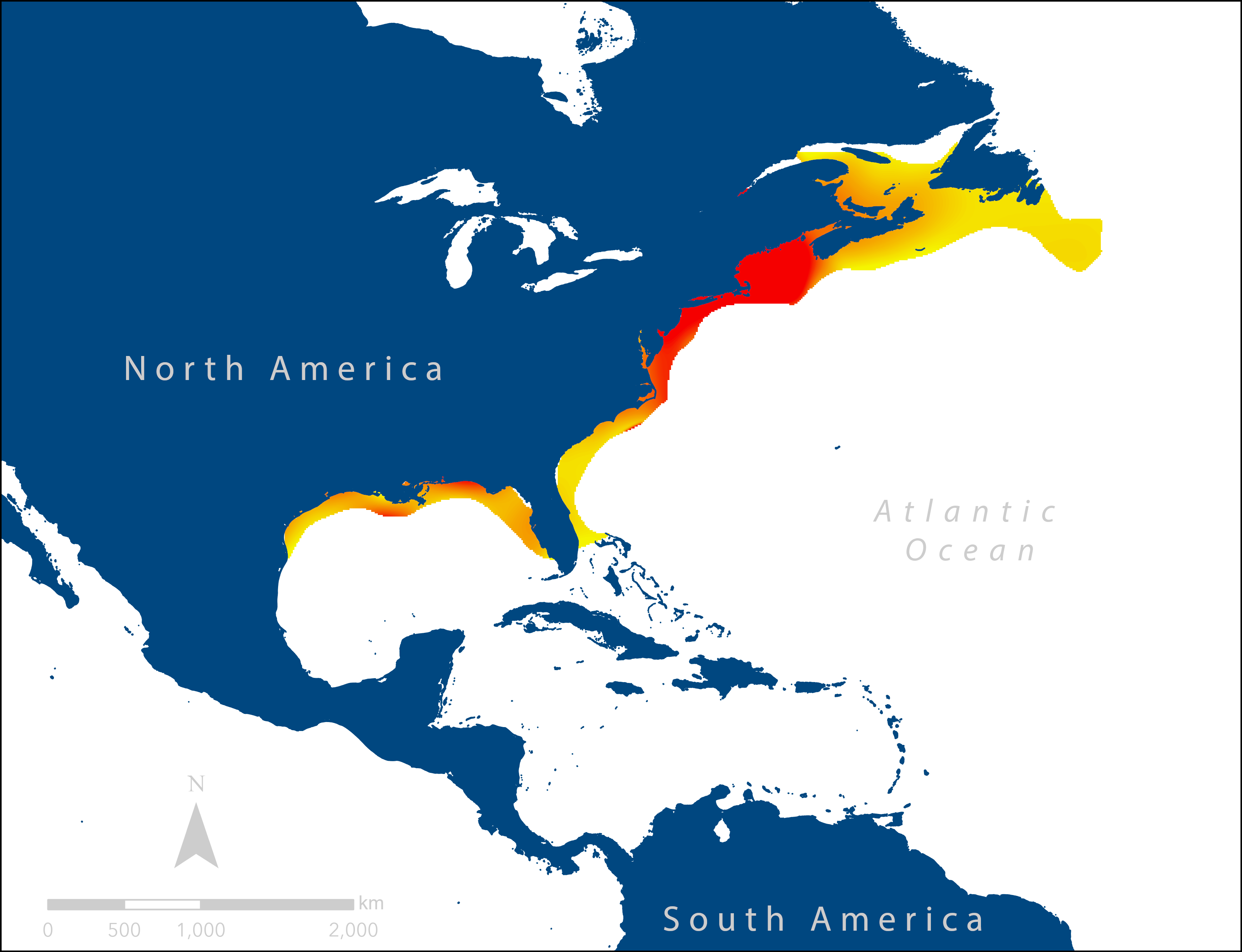 striped bass distribution, data from aquamaps.org