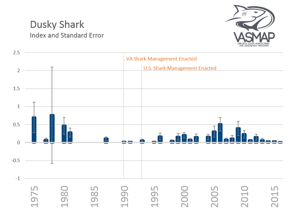 Dusky Shark