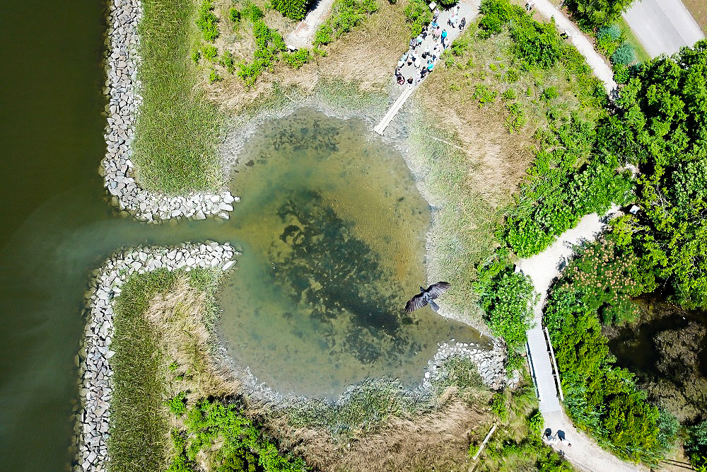 Aerial View of VIMS Teaching Marsh